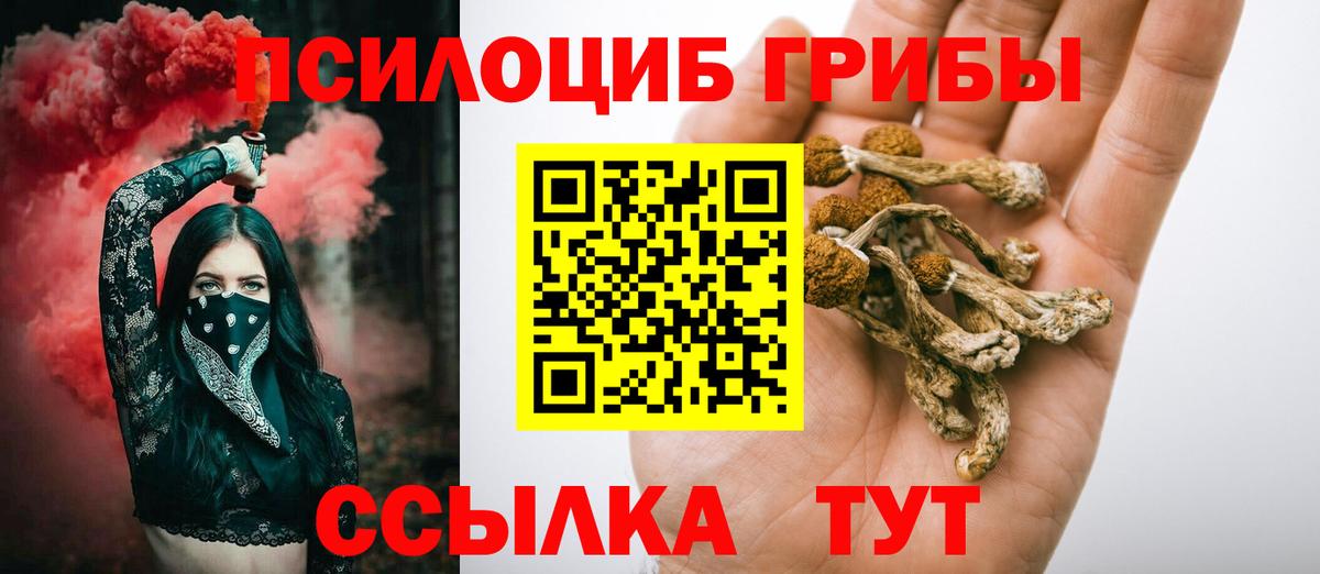 Галлюциногенные грибы мухоморы Фрязино